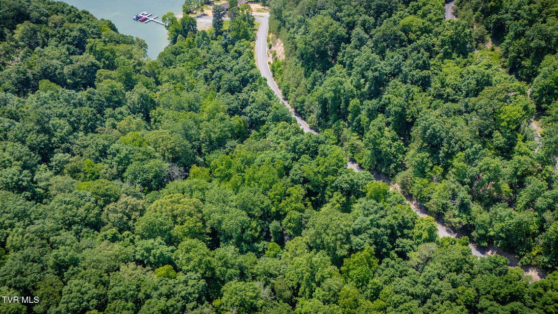 Photo #13: Lot 4 Walnut Bend Drive
