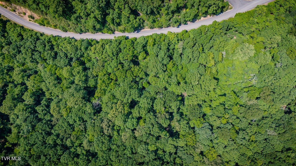 Photo #14: Lot 4 Walnut Bend Drive