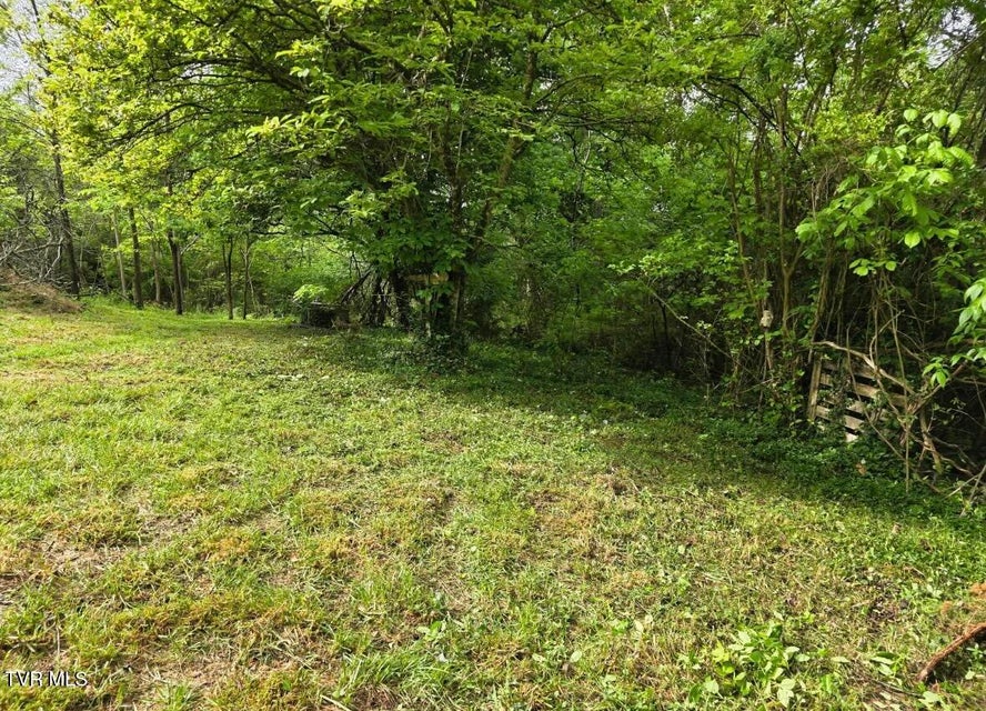 Photo #2: 173 Deloach Road