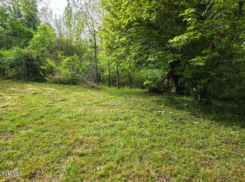 Photo #4: 173 Deloach Road