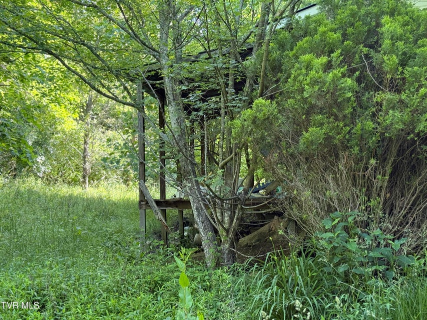 Photo #4: 343 Clarence Potter Road