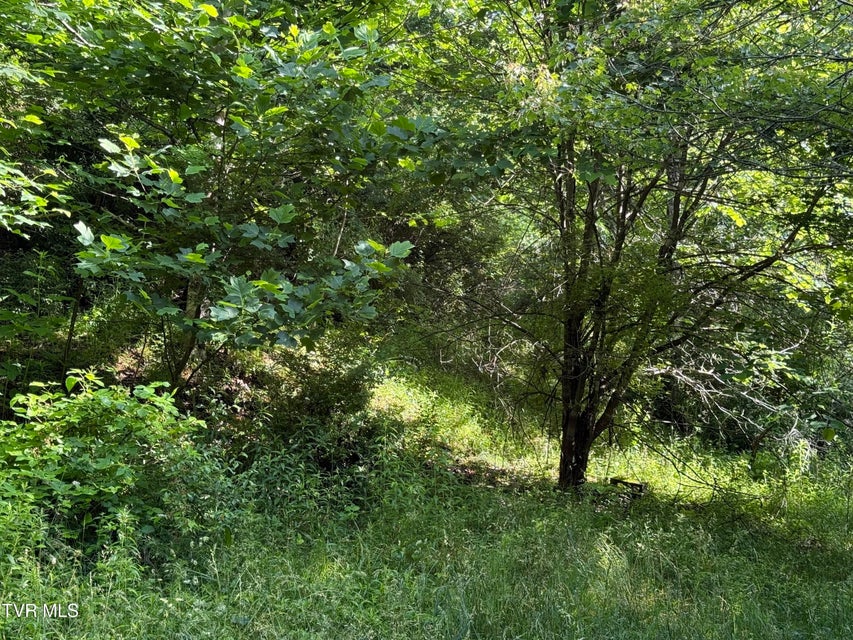 Photo #5: 343 Clarence Potter Road