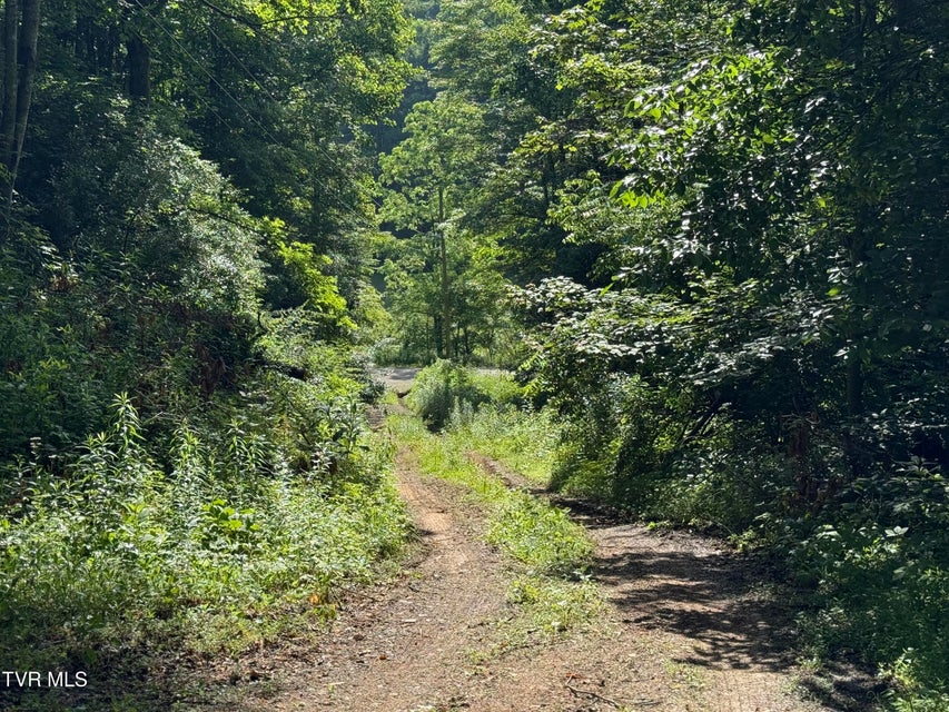 Photo #6: 343 Clarence Potter Road