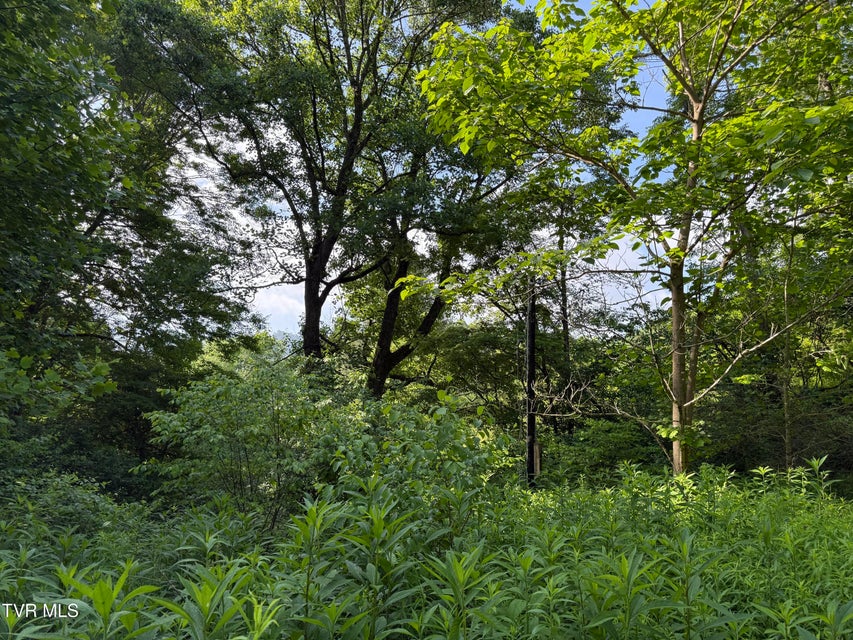 Photo #7: 343 Clarence Potter Road