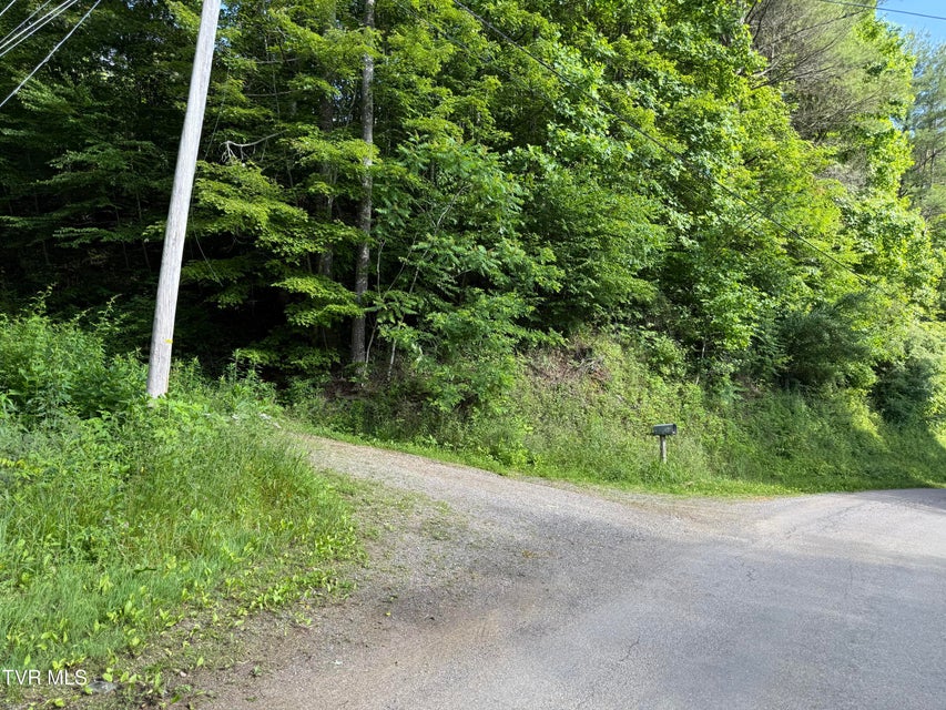 Photo #2: 343 Clarence Potter Road