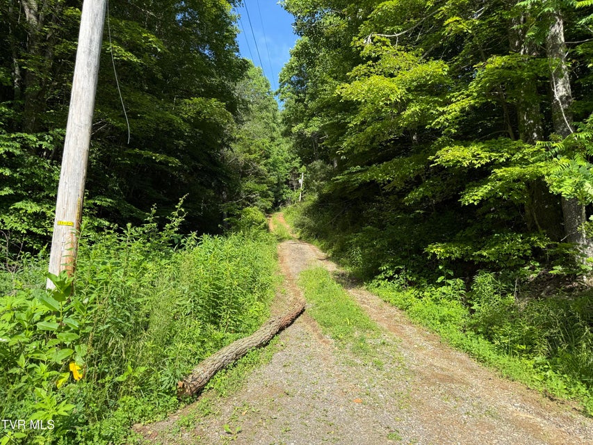Photo #3: 343 Clarence Potter Road