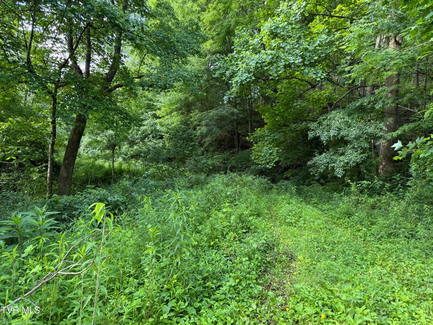 Photo #8: 343 Clarence Potter Road