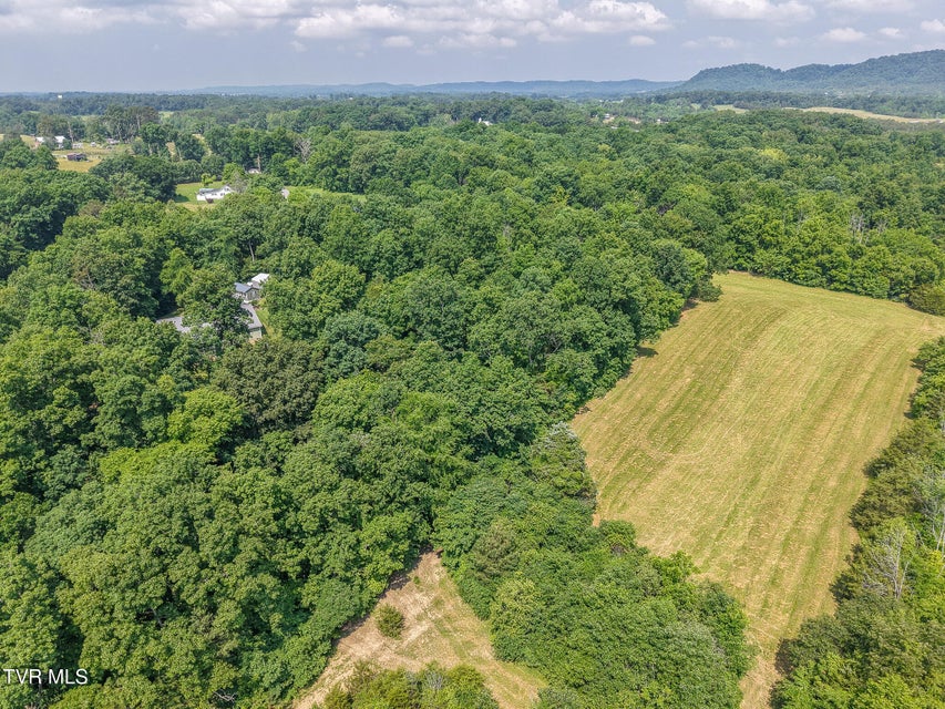 Photo #4: 335 Wisecarver Road