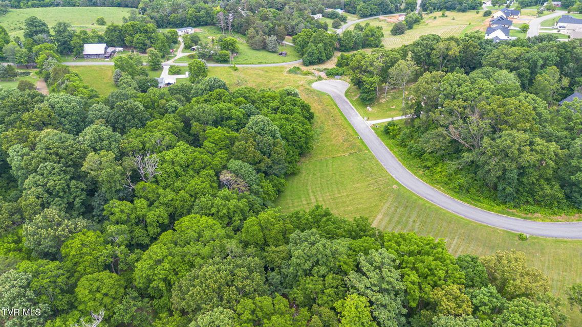 Photo #3: 000 Meadowcrest Lane