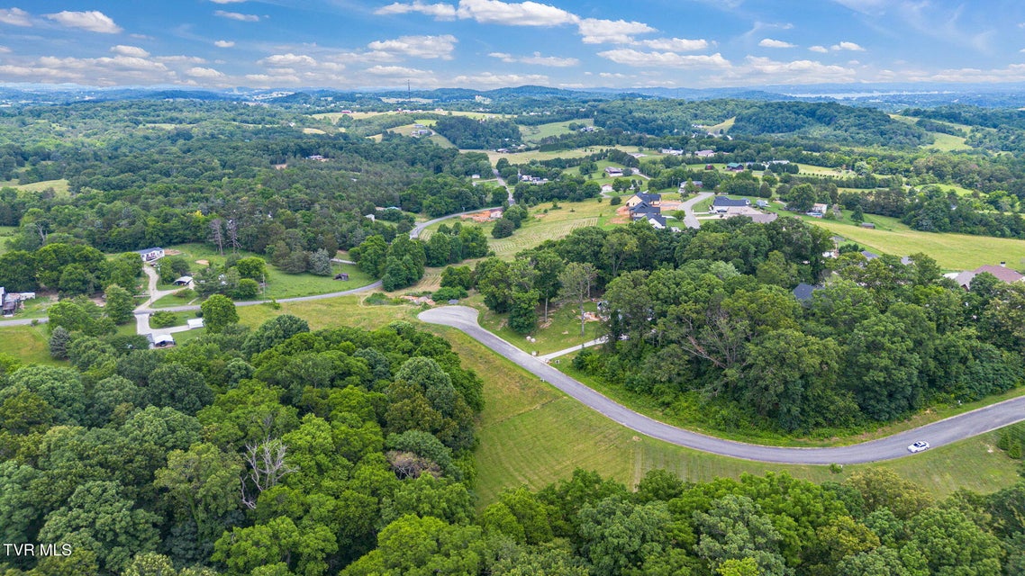 Photo #4: 000 Meadowcrest Lane