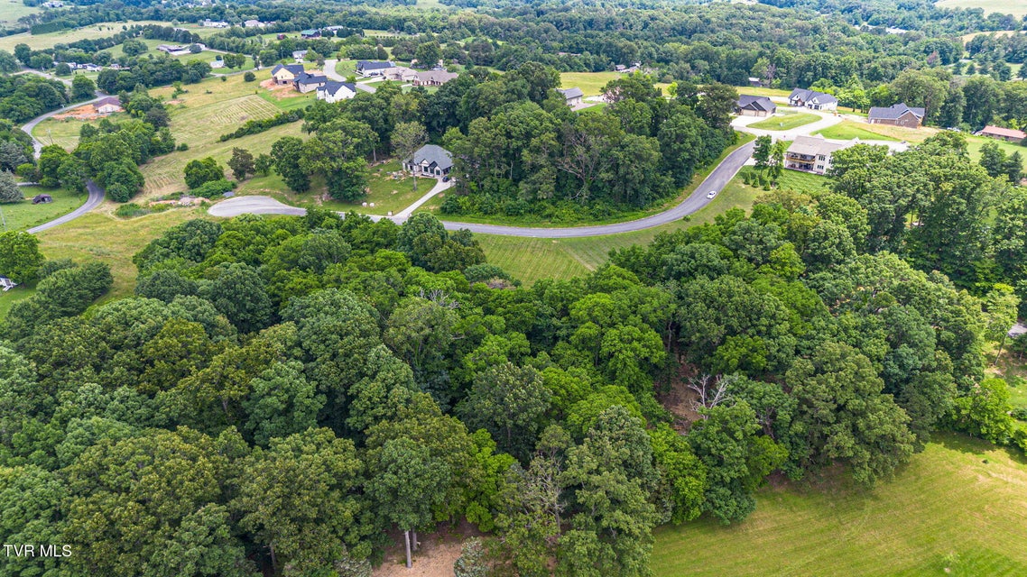 Photo #5: 000 Meadowcrest Lane