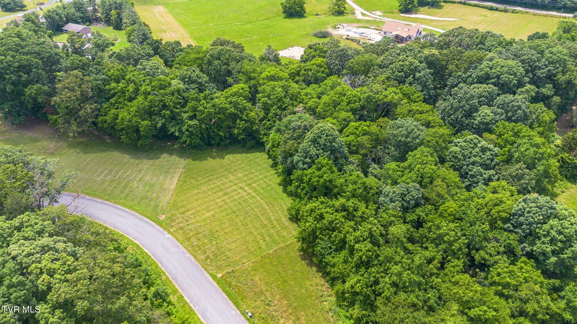 Photo #11: 000 Meadowcrest Lane