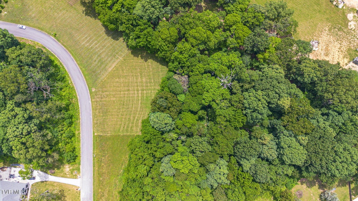 Photo #12: 000 Meadowcrest Lane