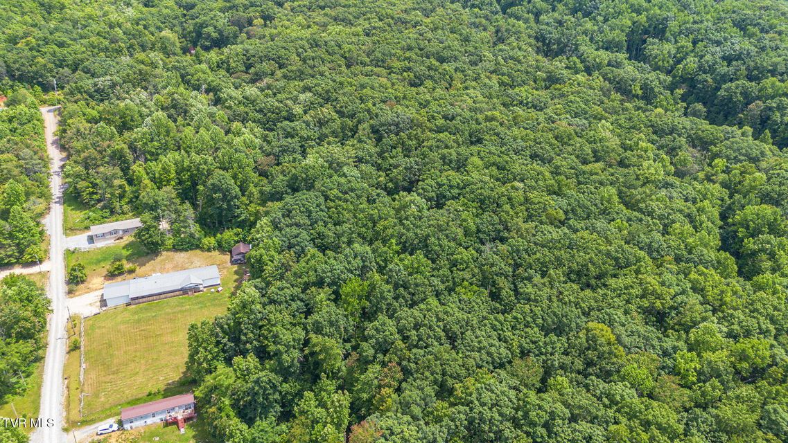 Photo #7: 000 Hopkins Road