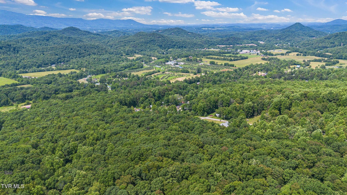 Photo #11: 000 Hopkins Road