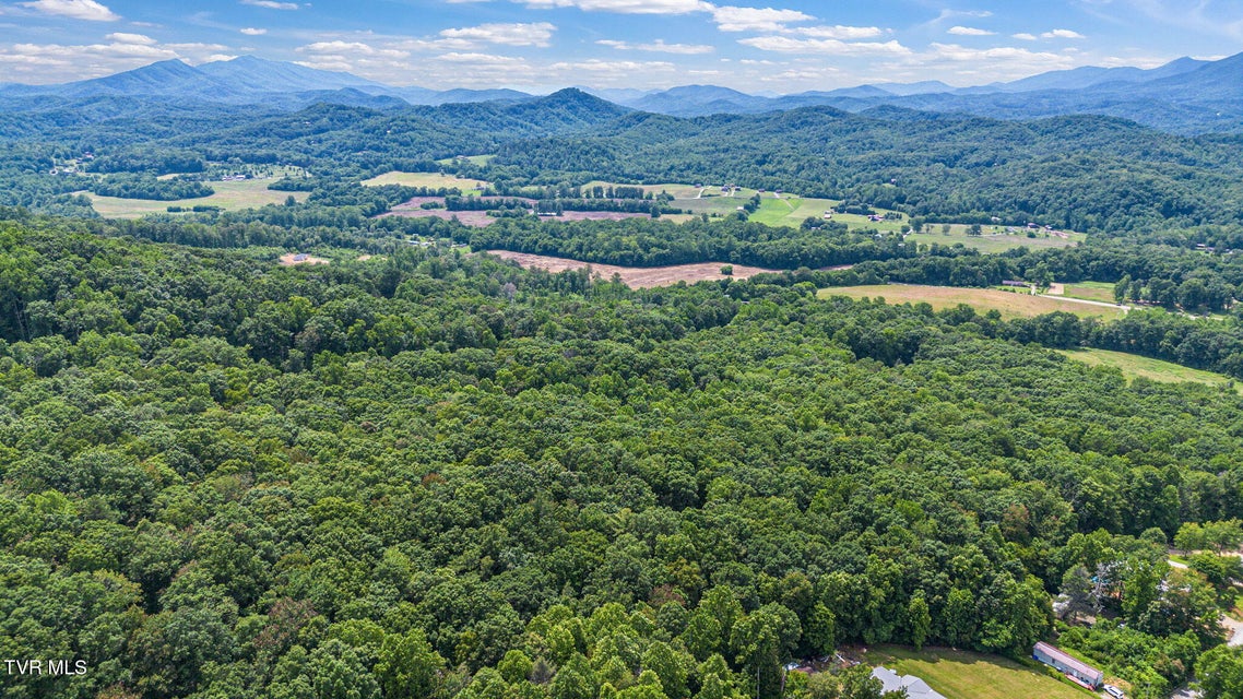 Photo #16: 000 Hopkins Road