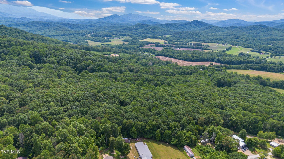 Photo #17: 000 Hopkins Road