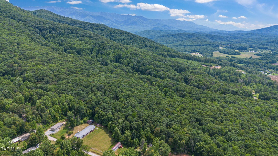 Photo #20: 000 Hopkins Road
