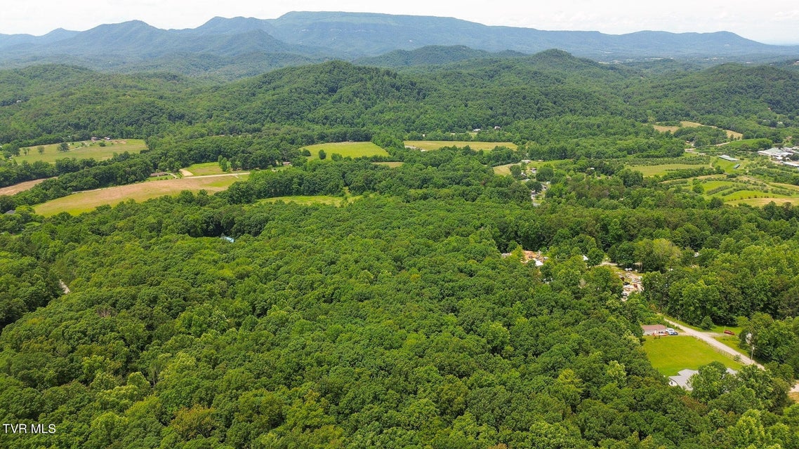 Photo #27: 000 Hopkins Road