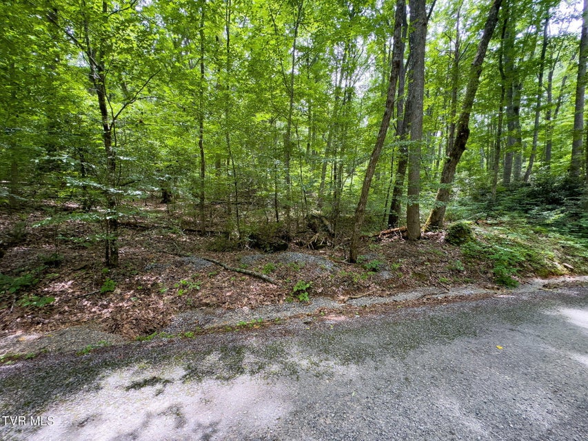 Photo #2: 000 Hopkins Road