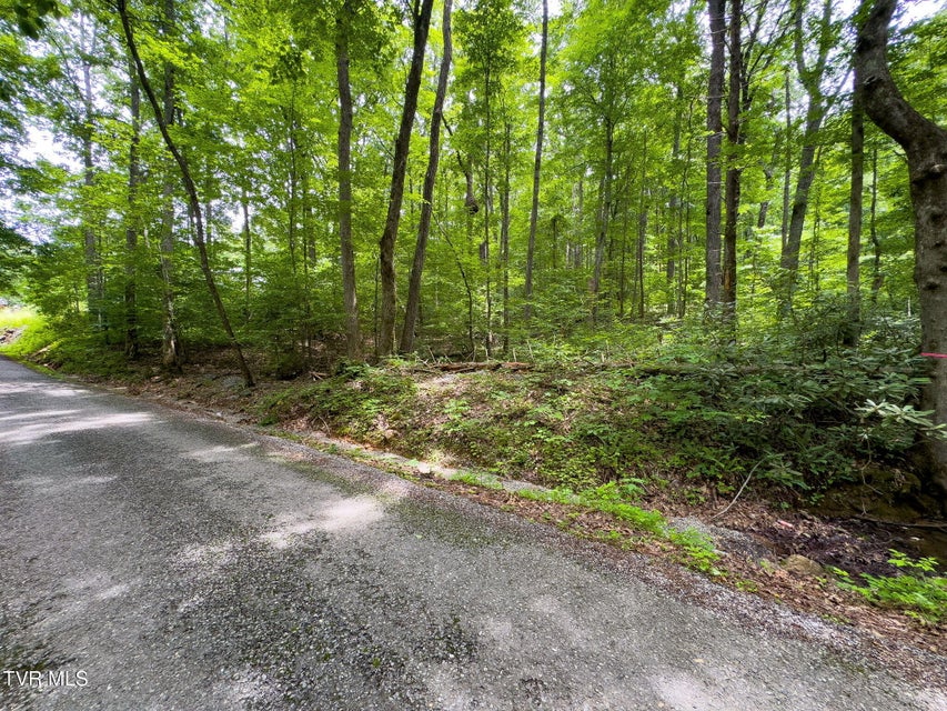 Photo #6: 000 Hopkins Road
