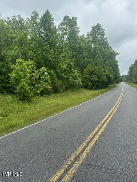 Photo #2: Tbd Laurel Lane