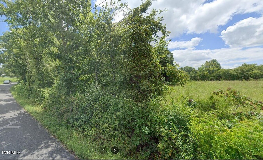 Photo #3: Tbd Wildwood Road