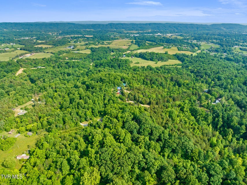 Photo #4: 261 Buzzard Roost Road