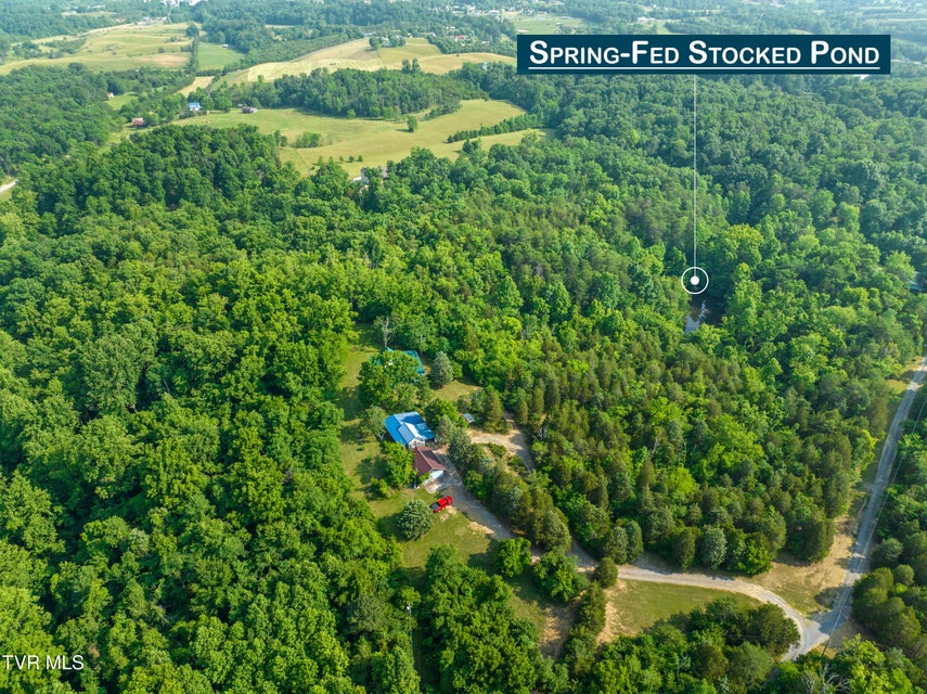 Photo #6: 261 Buzzard Roost Road