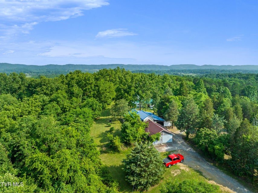 Photo #9: 261 Buzzard Roost Road
