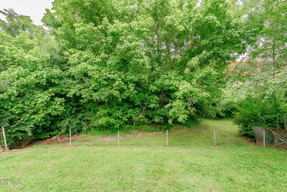 Photo #42: 2009 Tenneva Street