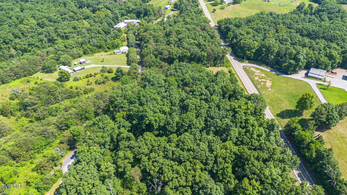 Photo #3: 00 Asheville Highway