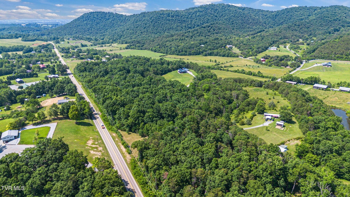 Photo #7: 00 Asheville Highway