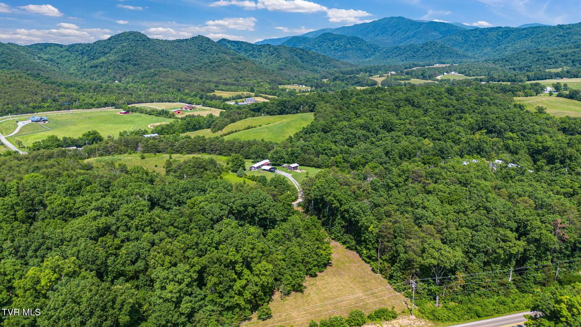 Photo #12: 00 Asheville Highway