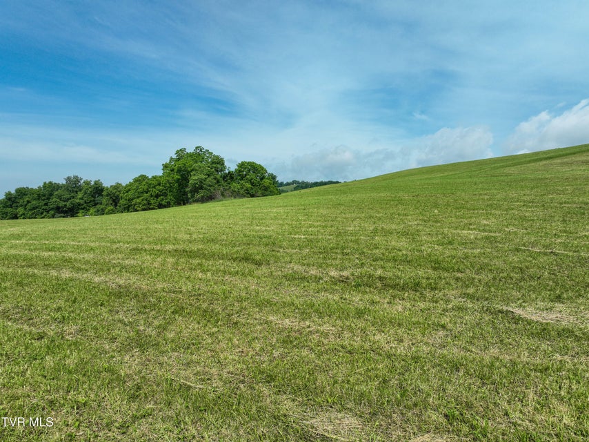 Photo #32: Lot 1 Wayside Meadows Road