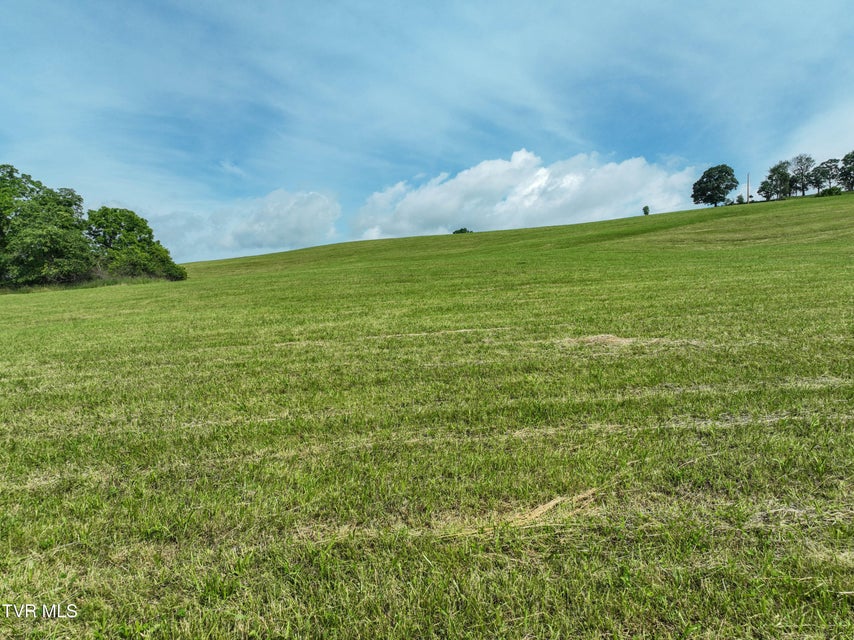 Photo #34: Lot 1 Wayside Meadows Road