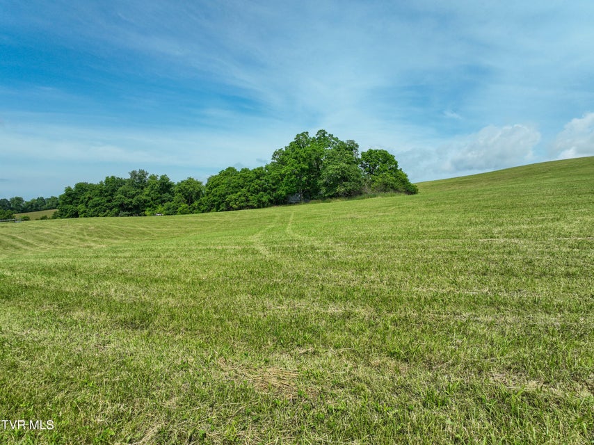 Photo #36: Lot 1 Wayside Meadows Road