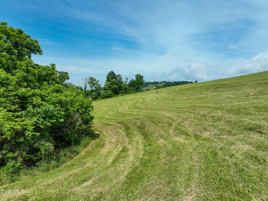 Photo #40: Lot 1 Wayside Meadows Road