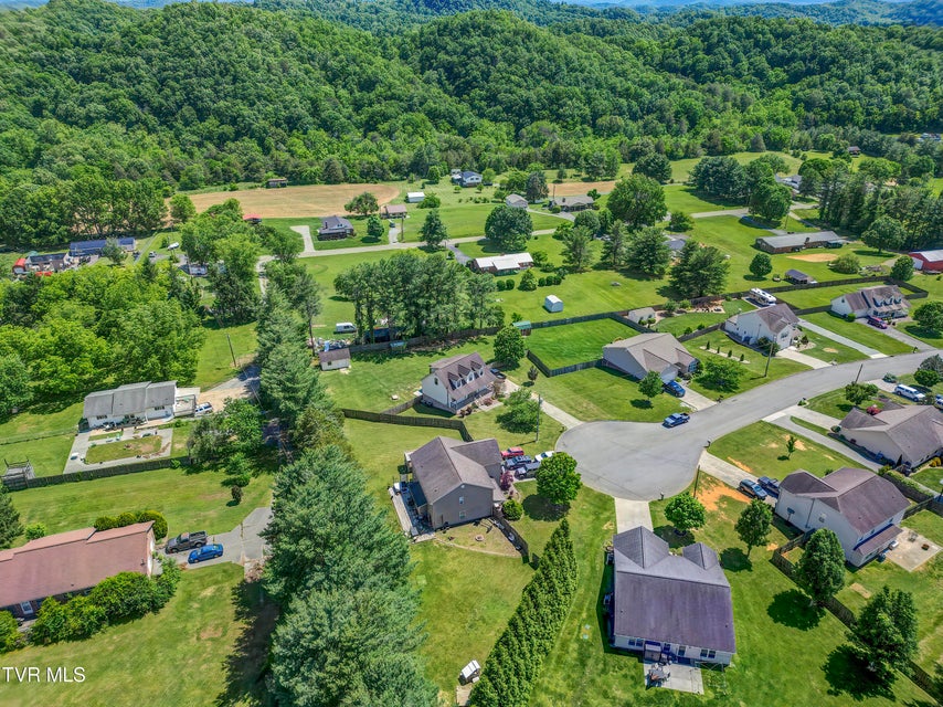 Photo #49: 1032 Austin Ridge Court