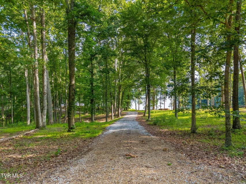 Photo #26: 463 Heather Brook Drive