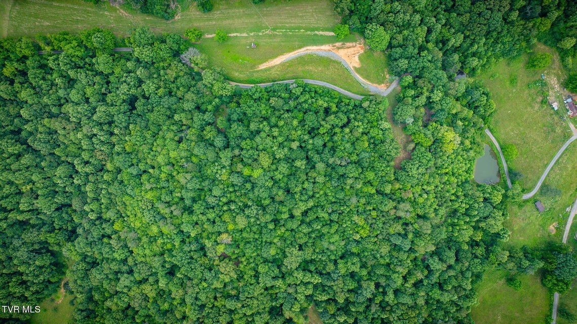 Photo #12: 258 Knox Hollow Road