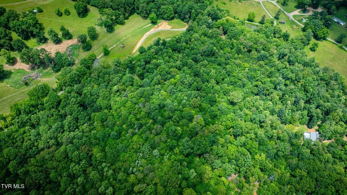 Photo #19: 258 Knox Hollow Road