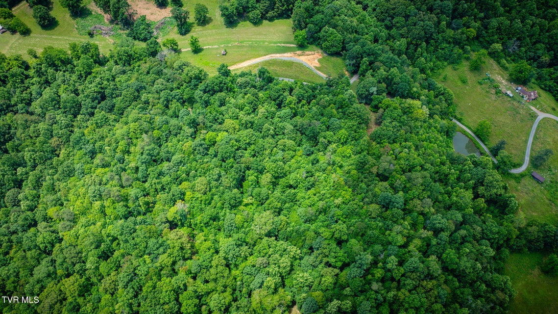 Photo #20: 258 Knox Hollow Road