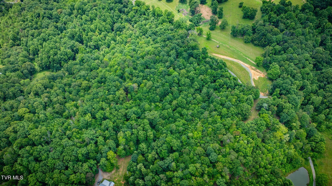 Photo #21: 258 Knox Hollow Road