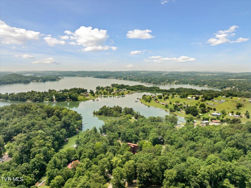 Photo #8: 929 Black Alder Lane