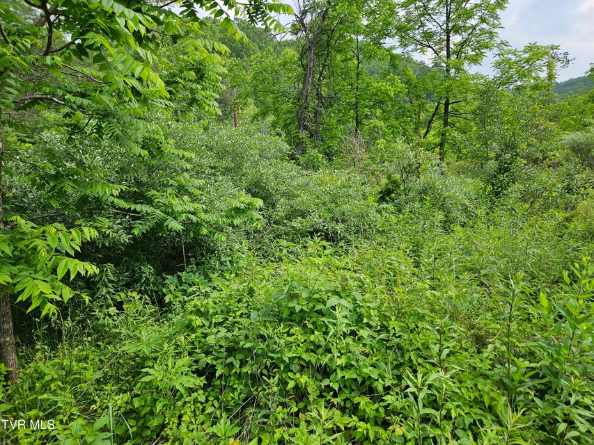 Photo #2: 6770 State Rte 606