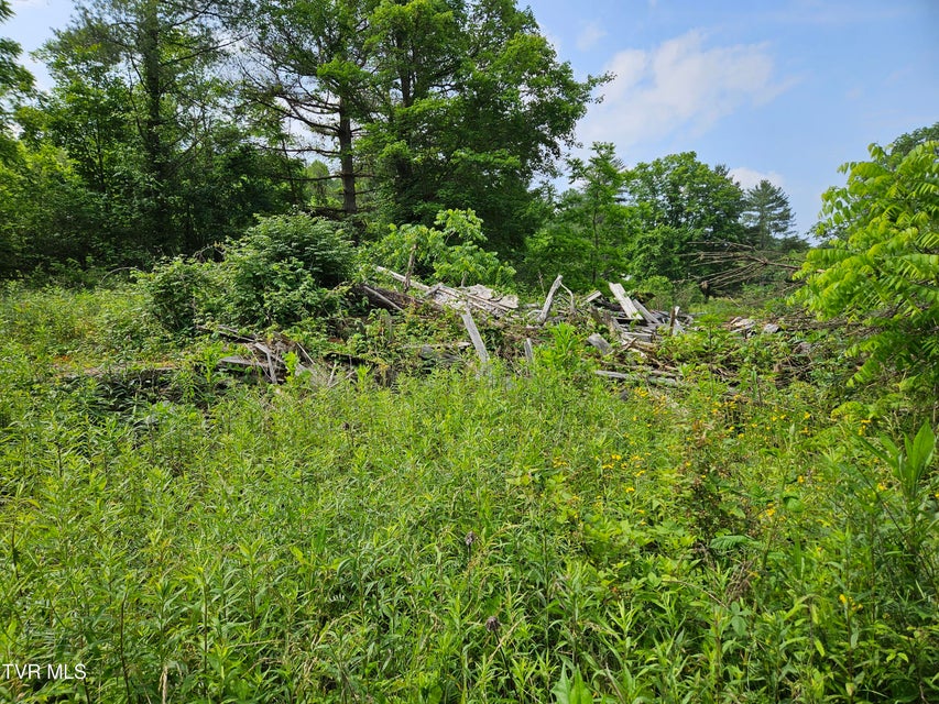 Photo #4: 6770 State Rte 606