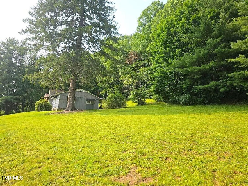 Photo #43: 919 Coeburn Road