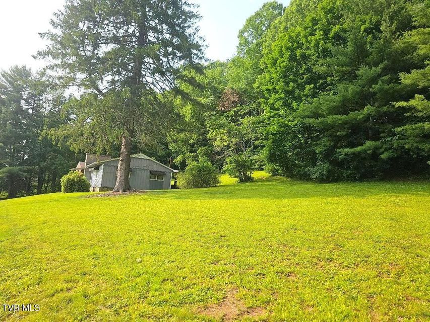 Photo #45: 919 Coeburn Road