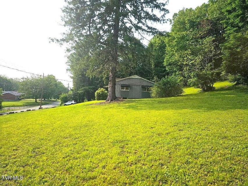 Photo #49: 919 Coeburn Road